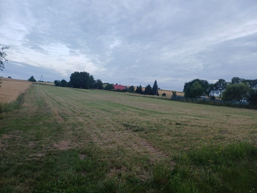 Działka rolno-budowlana Sierbowice. Zdjęcie 2