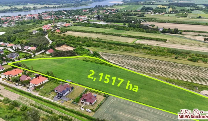 Działka rolna Nieszawa, ul. Żabieniec