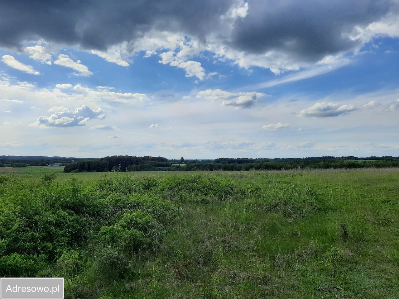 Działka rolna Suchowola. Zdjęcie 7