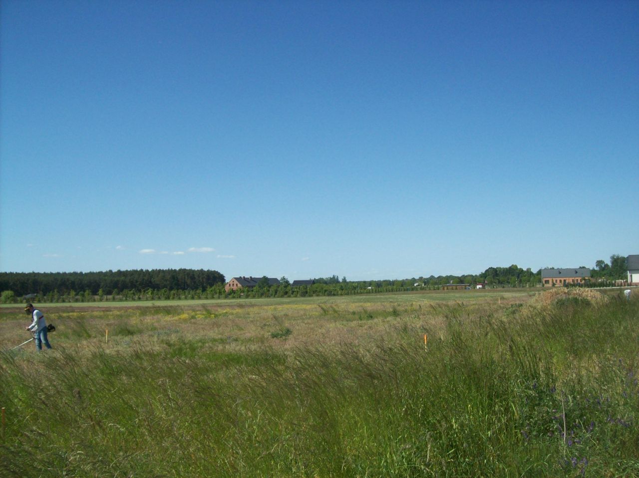 Działka budowlana Pawłowice, ul. Pawłowicka. Zdjęcie 13