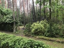 Działka rekreacyjna Zofiówka, ul. Cienista. Zdjęcie 1