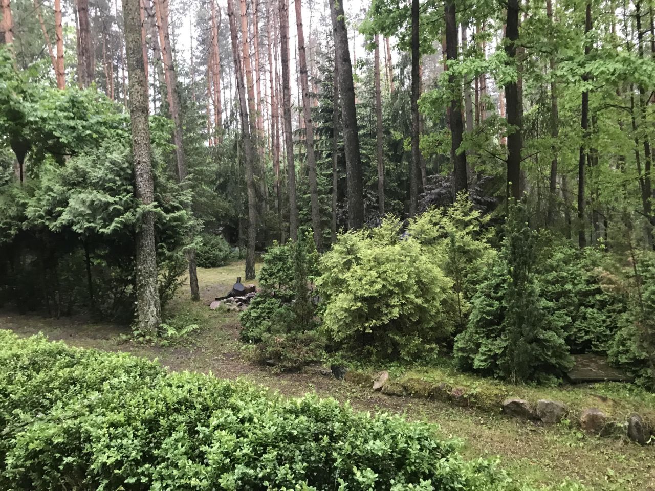 Działka rekreacyjna Zofiówka, ul. Cienista. Zdjęcie 2