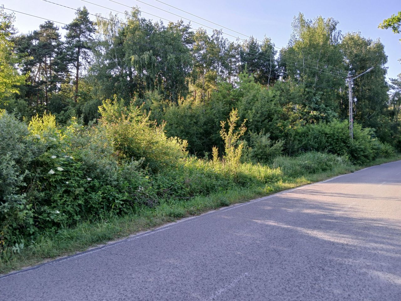 Działka rolno-budowlana Szczerców. Zdjęcie 4