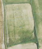 Działka rolna Mała Dział. Zdjęcie 1