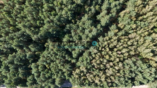 Działka budowlana Stęszewko, ul. Wiejska. Zdjęcie 2