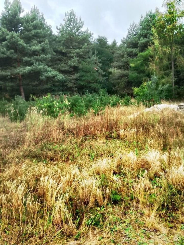 Działka budowlana Dąbrowa Górnicza Ujejsce, ul. Karsowska. Zdjęcie 2