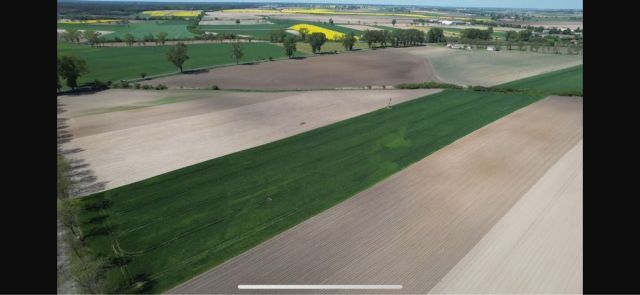 Działka rolna Rzeszynek. Zdjęcie 1