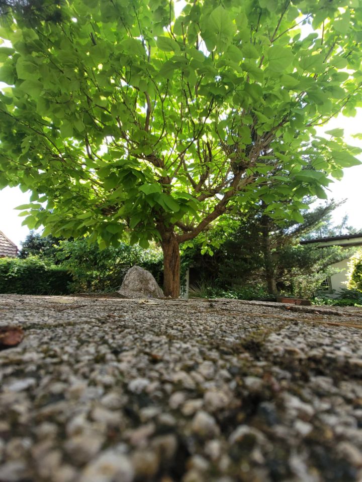 dom wolnostojący, 6 pokoi Białobrzegi, ul. Długa. Zdjęcie 8