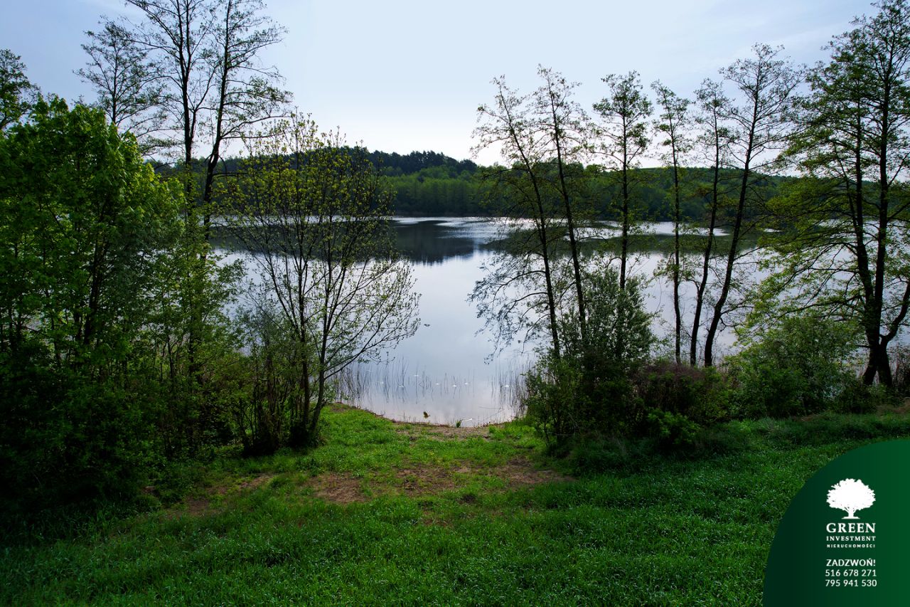 Działka rolno-budowlana Zbójno. Zdjęcie 4