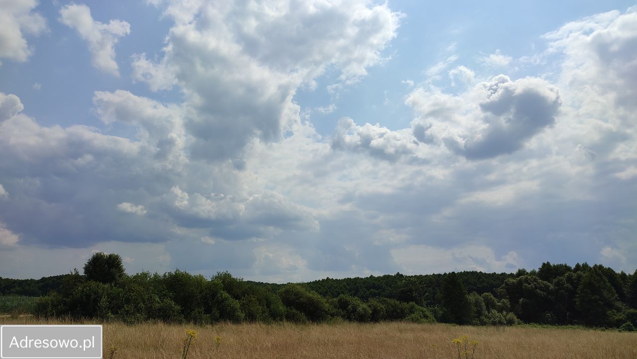 Działka budowlana Milejczyce. Zdjęcie 6