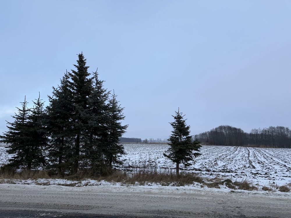 Działka budowlana Szyleny Szyleny-Kolonia. Zdjęcie 7