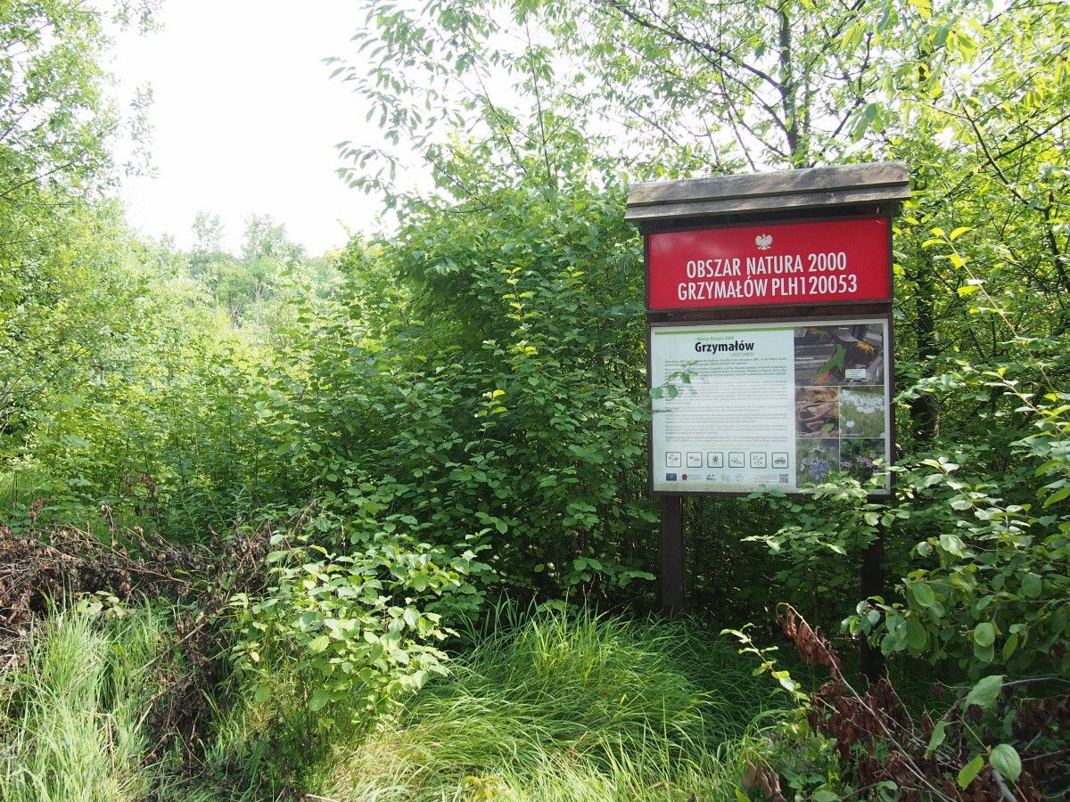 Działka rekreacyjna Śladów. Zdjęcie 20