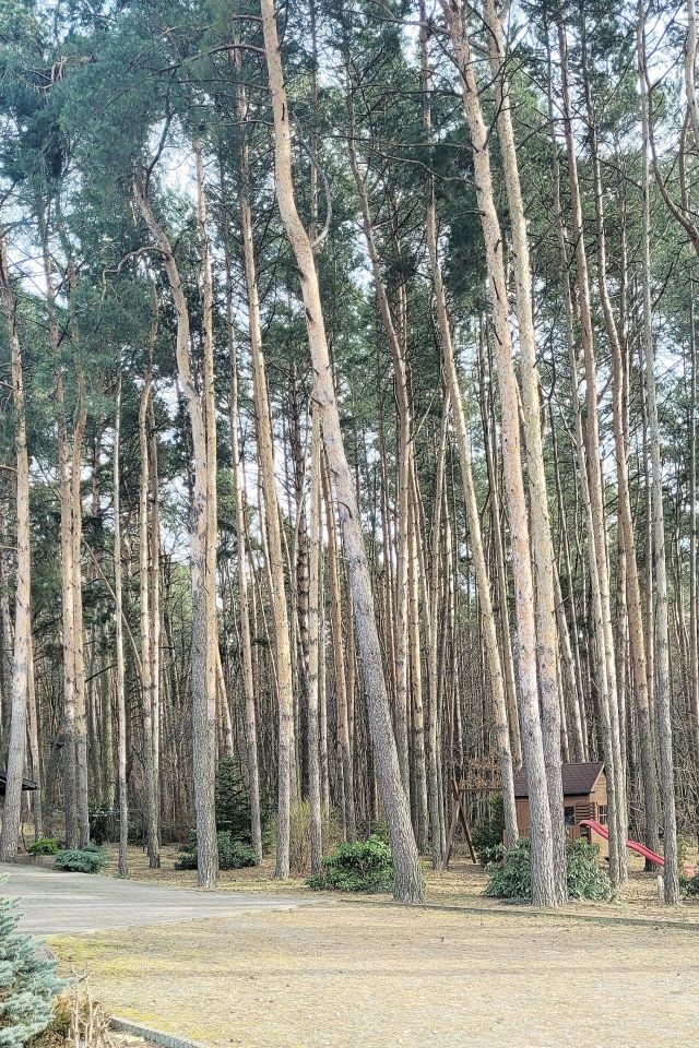 dom wolnostojący, 4 pokoje Kobyla Góra Onufry, ul. Wojska Polskiego. Zdjęcie 18