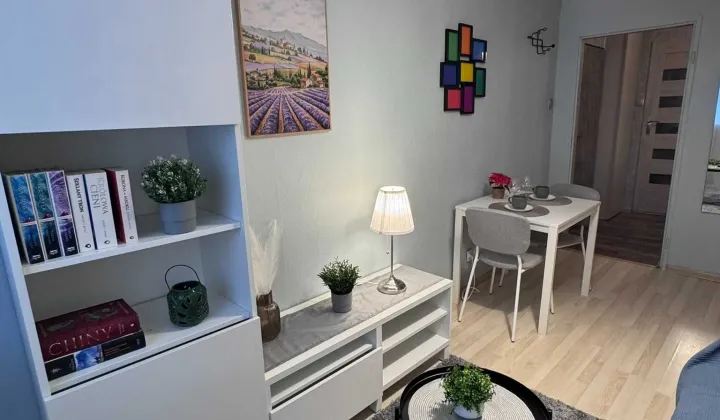 Mieszkanie 1-pokojowe Wrocław Krzyki, ul. Kamienna
