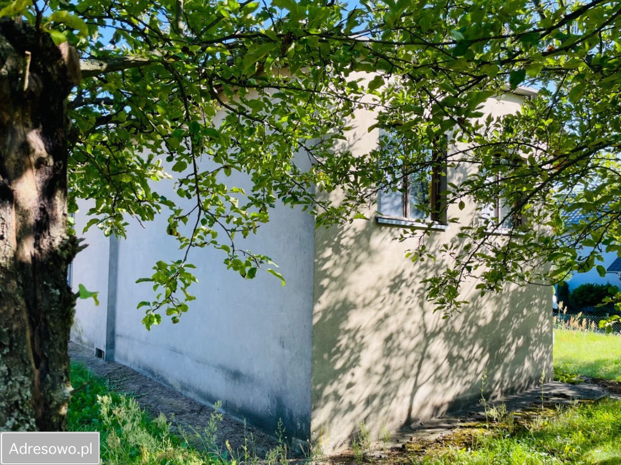 Działka rod Lgiń. Zdjęcie 6