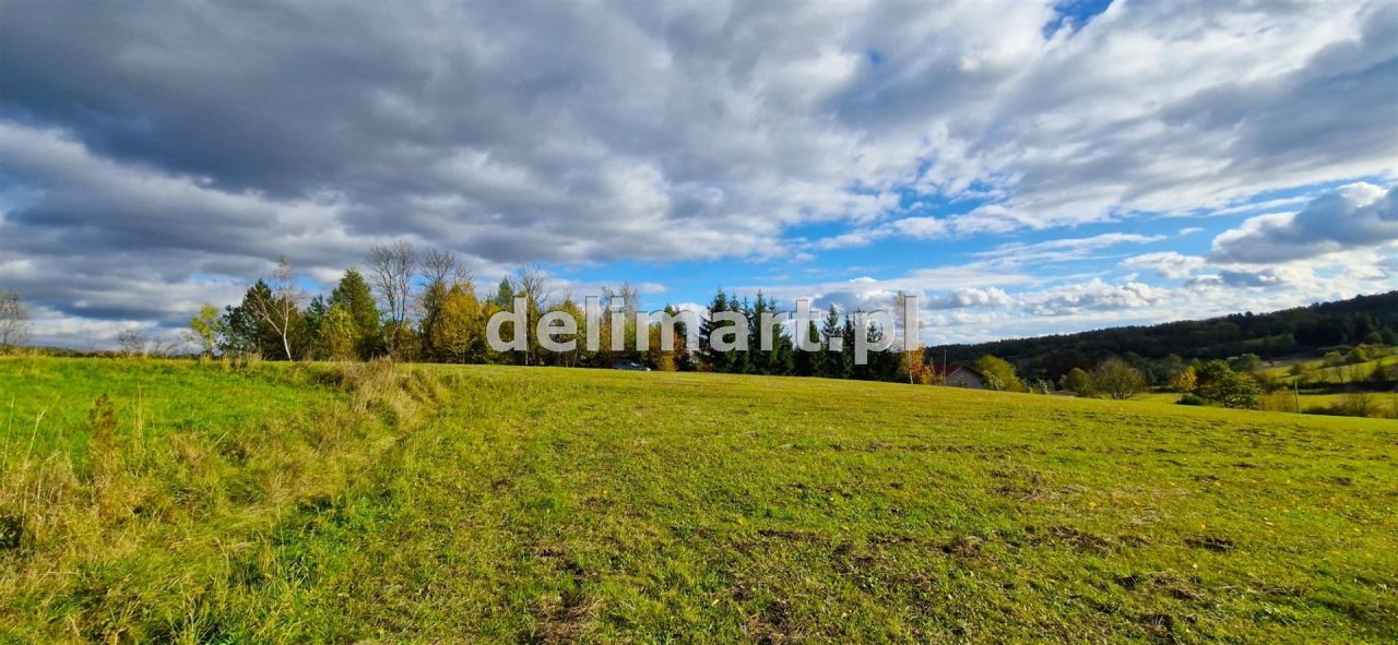 Działka budowlana Srogów Dolny. Zdjęcie 5