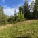 Działka budowlana Dziekanów Nowy, ul. Królowej Marysieńki. Zdjęcie 3