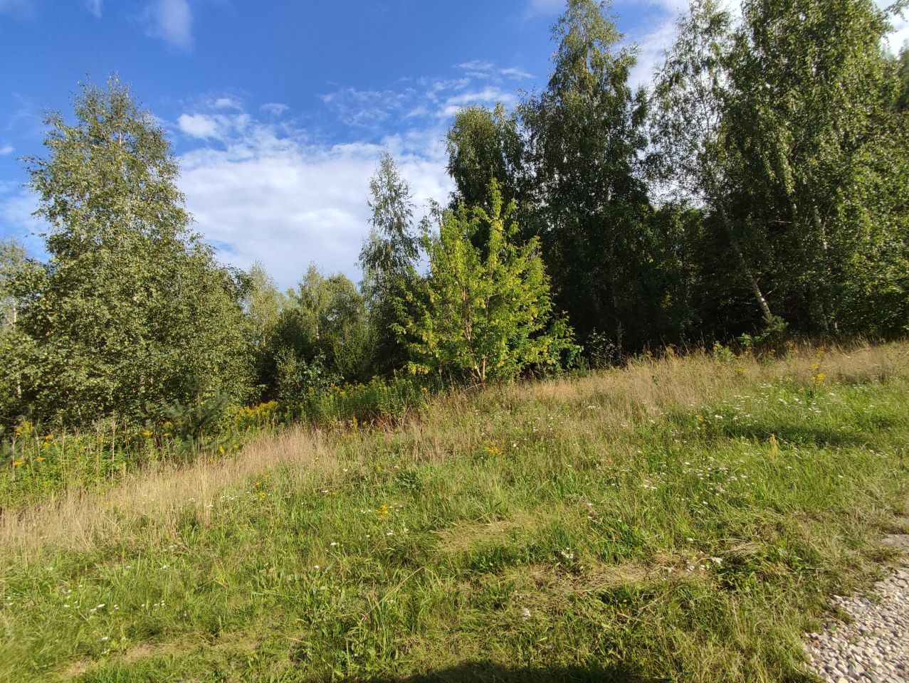 Działka budowlana Dziekanów Nowy, ul. Królowej Marysieńki. Zdjęcie 3