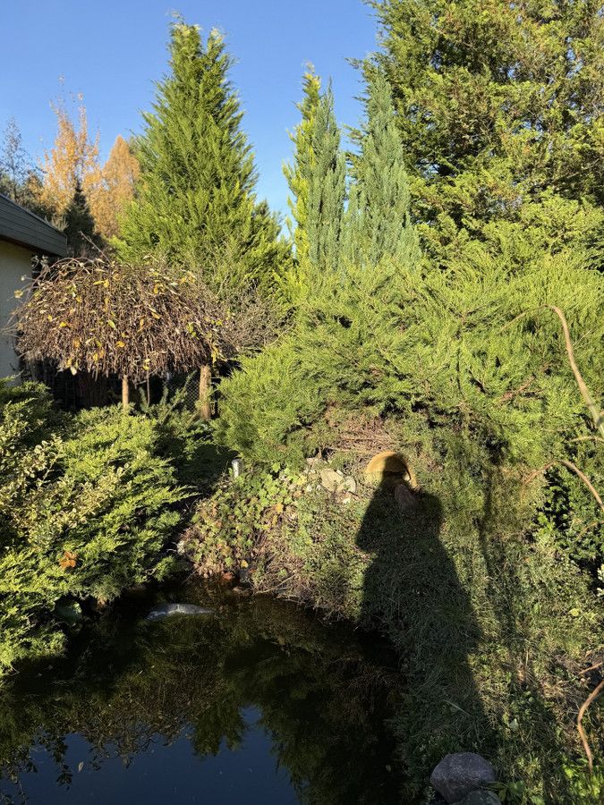 Działka rod Prawda. Zdjęcie 27