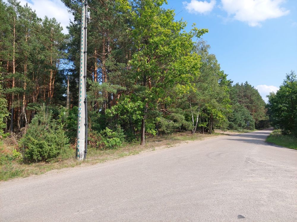 Działka Wysychy. Zdjęcie 6