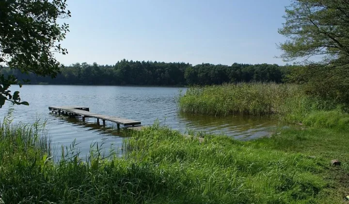 Działka rekreacyjna Buszów