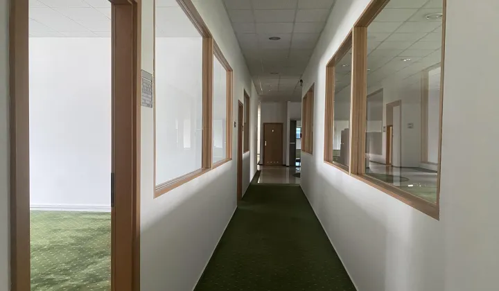 Lokal Piaseczno, ul. Puławska