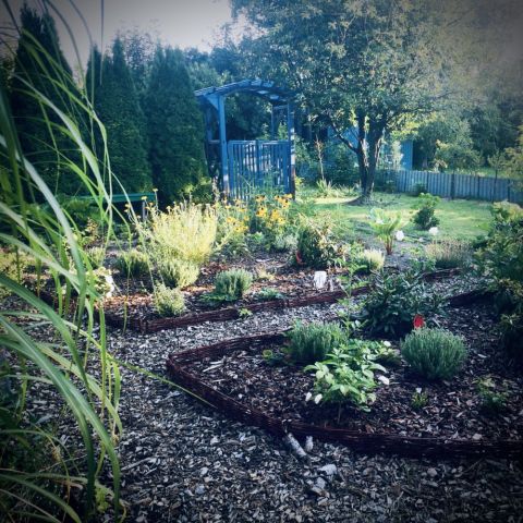 Działka rod Opole, ul. Kazimierza Sosnkowskiego. Zdjęcie 1