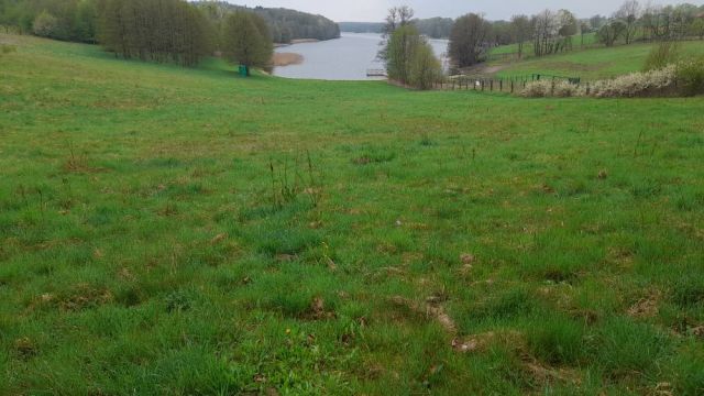 Działka budowlana Niebrzydowo Wielkie. Zdjęcie 1