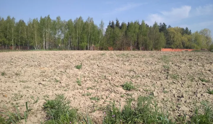 Działka budowlana Kiekrz, ul. Miodowa