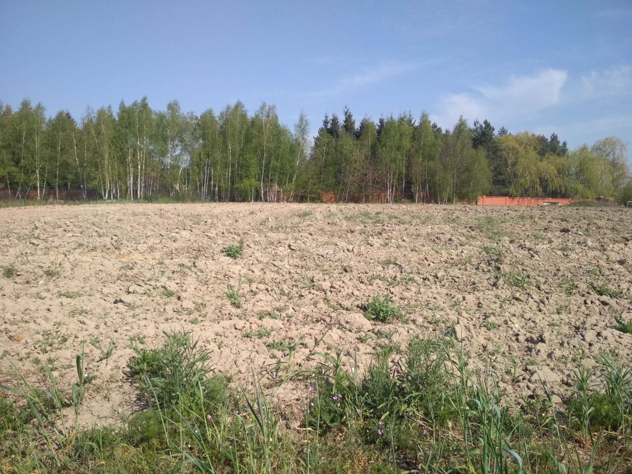 Działka budowlana Kiekrz, ul. Miodowa