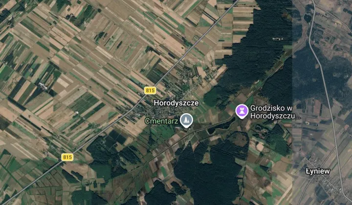 Działka leśna Horodyszcze