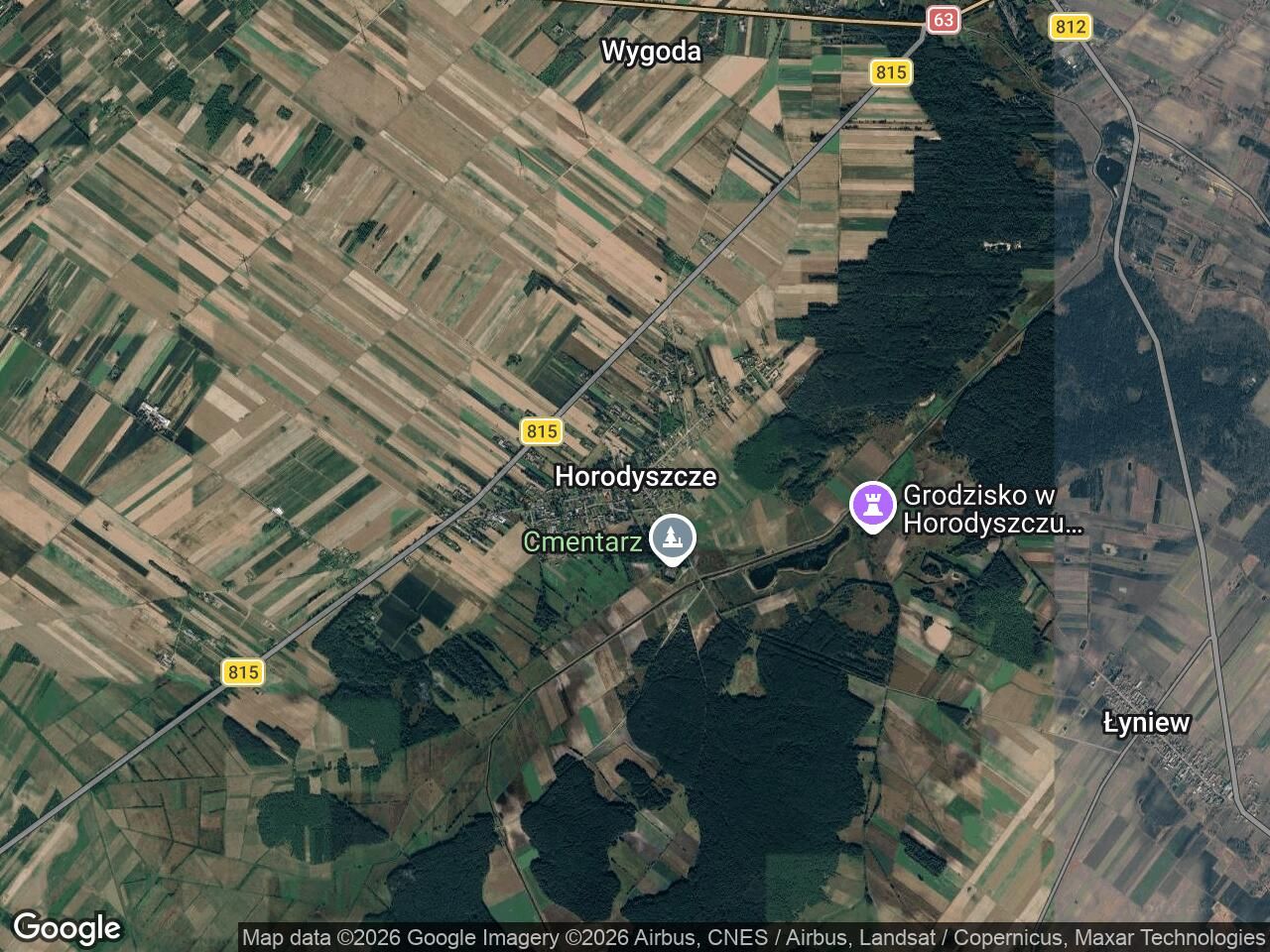 Działka leśna Horodyszcze. Zdjęcie 1