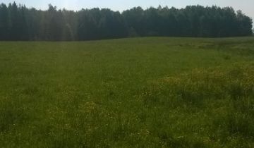 Działka rolna Suryty
