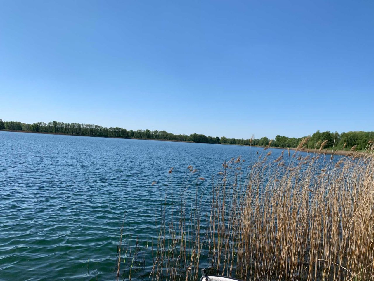 Działka rekreacyjna Lipnica. Zdjęcie 8