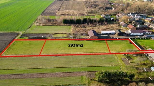 Działka rolno-budowlana Zdrowa. Zdjęcie 3