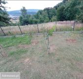 Działka budowlana Dąbrowa
