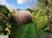 Działka budowlana Łąck, ul. Miodowa. Zdjęcie 4