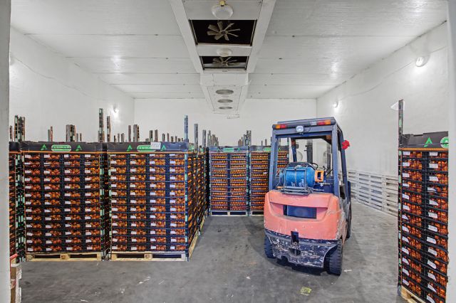 Hala/magazyn Ołtarzew, ul. Poznańska. Zdjęcie 9