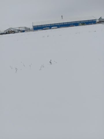 Działka inwestycyjna Augustów Wójtowskie Włóki, ul. Rajgrodzka. Zdjęcie 1