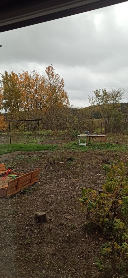 siedlisko, 3 pokoje Wojciechy, Wojciechy. Zdjęcie 8