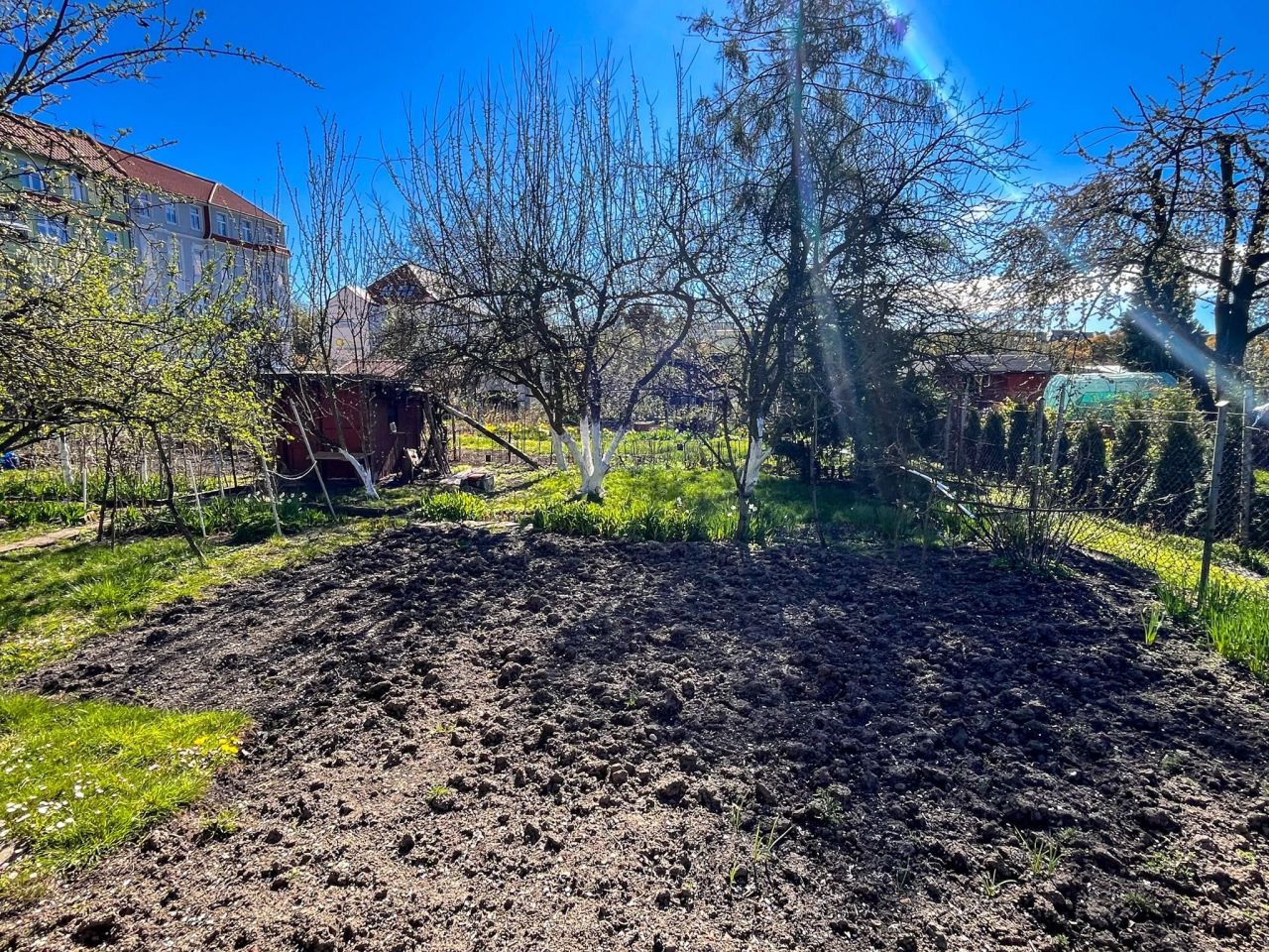 Działka rod Racibórz Centrum, ul. Warszawska. Zdjęcie 5