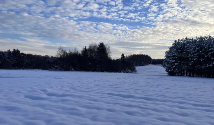 Działka rolna Łętownia