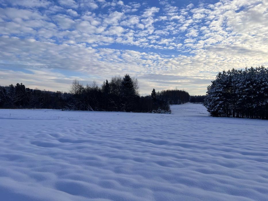 Działka rolna Łętownia. Zdjęcie 1