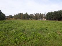 Działka rolno-budowlana Słubica A, ul. Zarzeczna. Zdjęcie 1