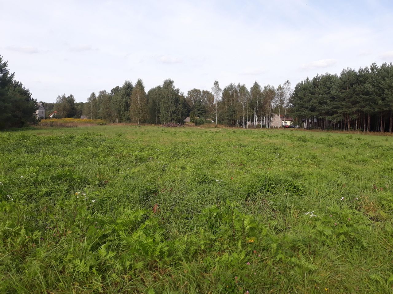 Działka rolno-budowlana Słubica A, ul. Zarzeczna. Zdjęcie 2