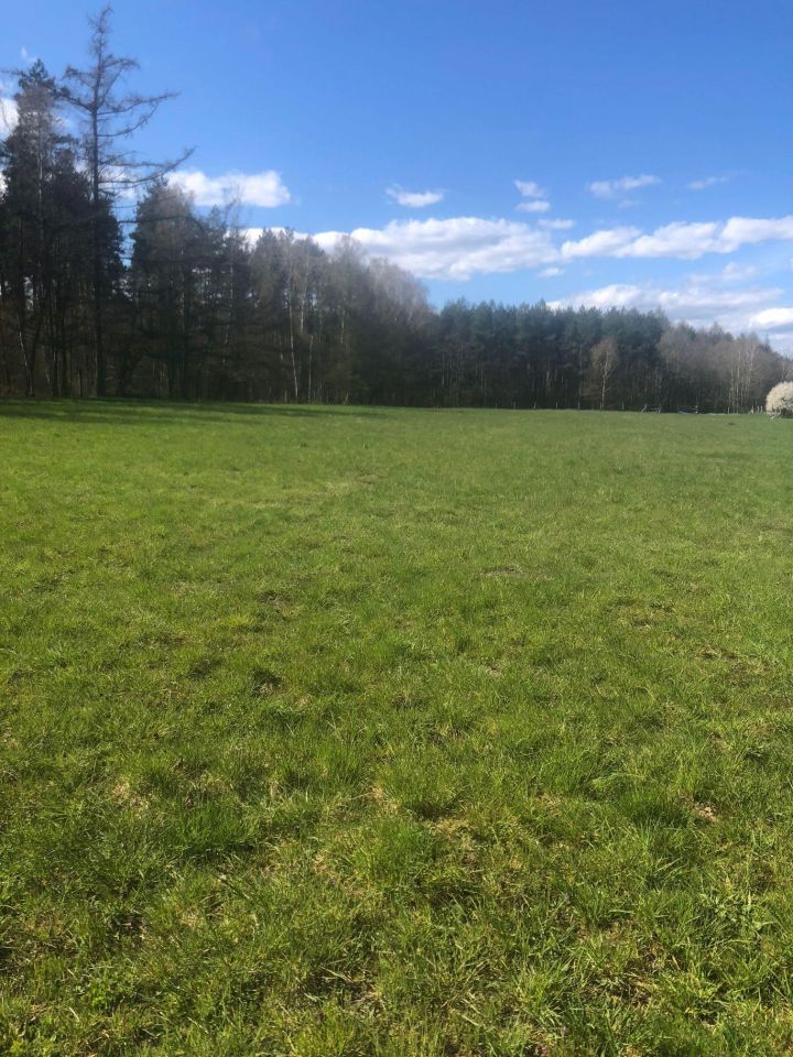 Działka rolno-budowlana Szczecin Płonia, ul. Trzcinowa. Zdjęcie 3