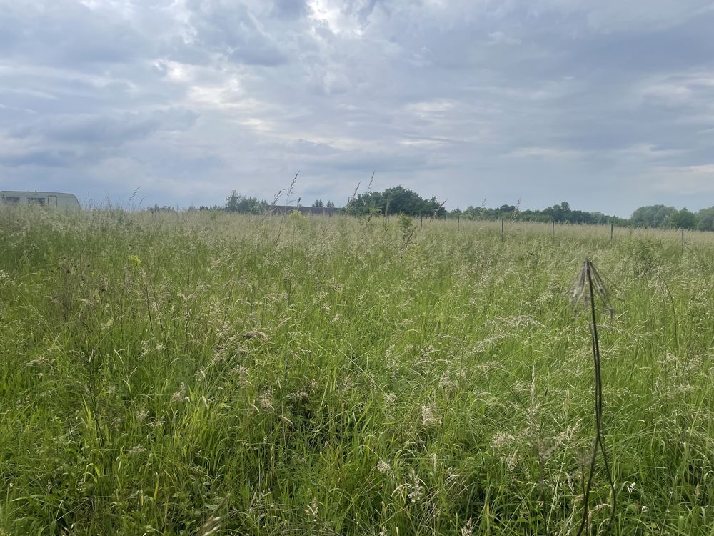 Działka budowlana Popów. Zdjęcie 4