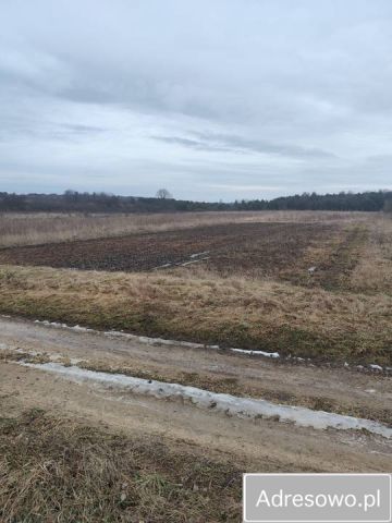 Działka rolno-budowlana Kawczyn. Zdjęcie 1