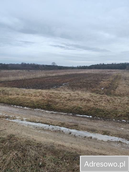 Działka rolno-budowlana Kawczyn. Zdjęcie 1
