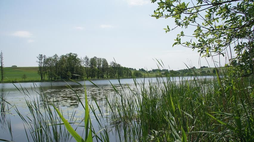 Działka budowlana Rukławki. Zdjęcie 4